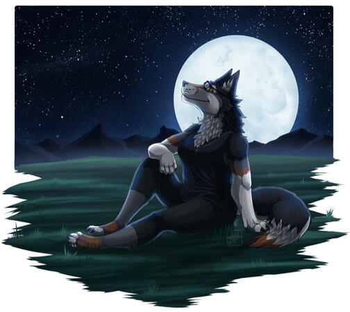 Anthro Decal Comm Anthro Decal Comm